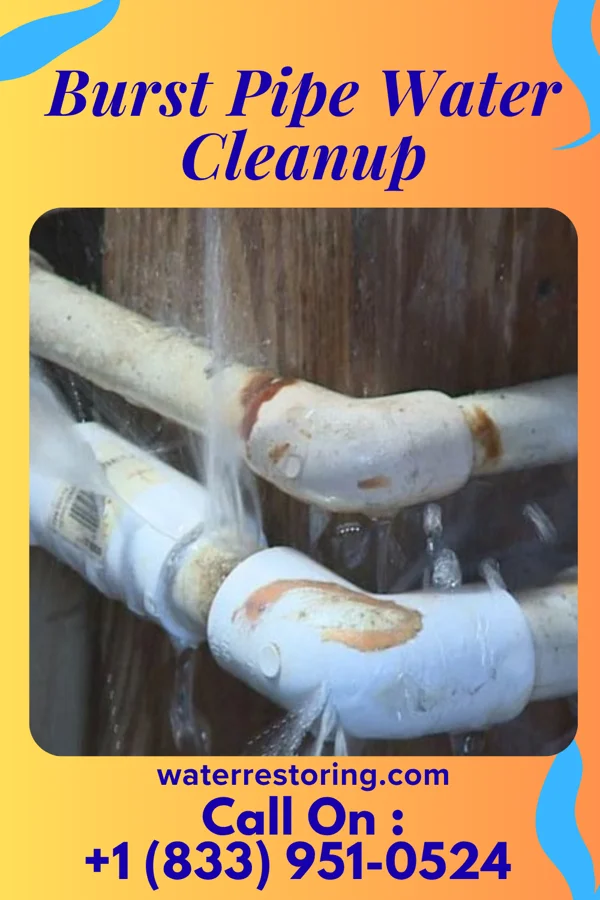 Burst Pipe Water Cleanup in Mountain View, MO