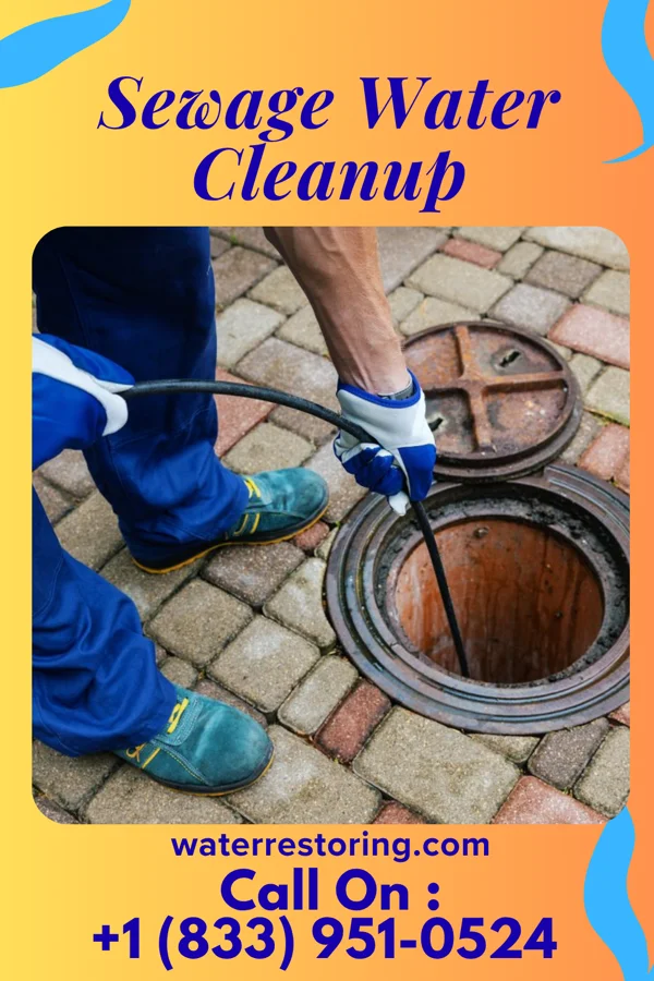 Sewage Water Cleanup in Mountain View, MO